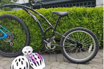 a bicycle parked on the grass