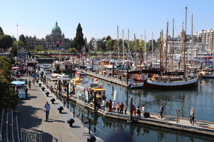 Sunny harbor scene with boats, dock, people, and historic building in background.