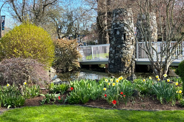 Garden with daffodils, stone pillars, and a white bridge over a pond.