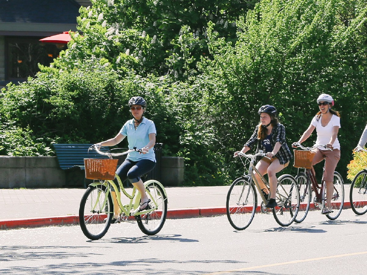 The Pedaler Victoria By Bike Bike Rentals Tours in Victoria